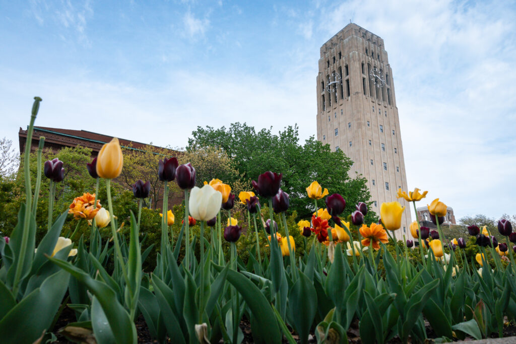 Tullips bloom in a garden at the base of Burton Tower.